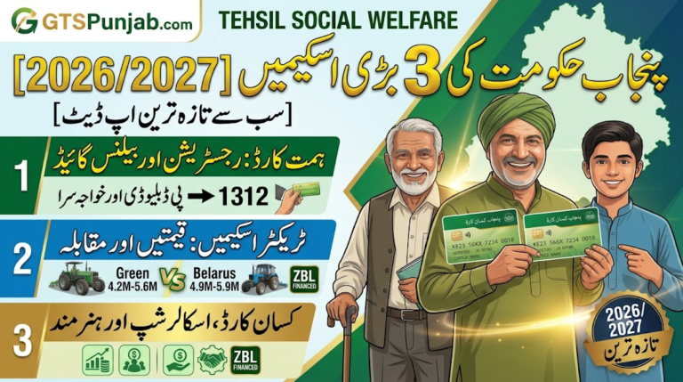 Punjab Himmat Card Monthly Installment Check Online